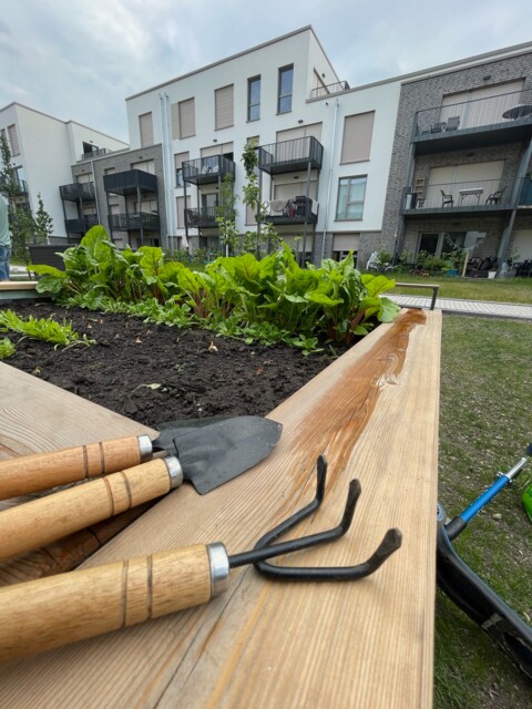 Urban Gardening im York-Quartier in Gremmendorf